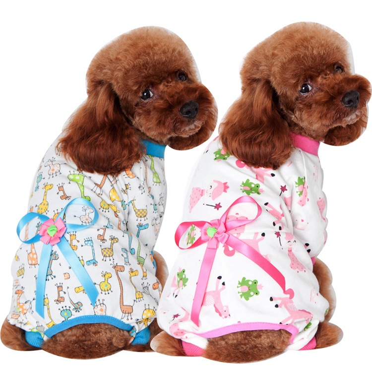 猫失温是什么原因？揭开宠物健康的隐秘角落